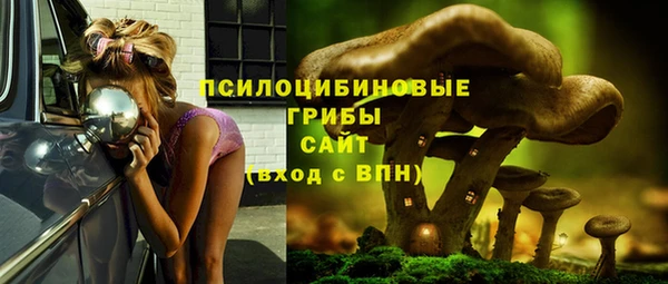 метамфетамин Богданович