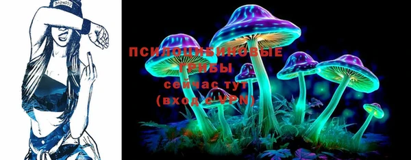 mdpv Бородино